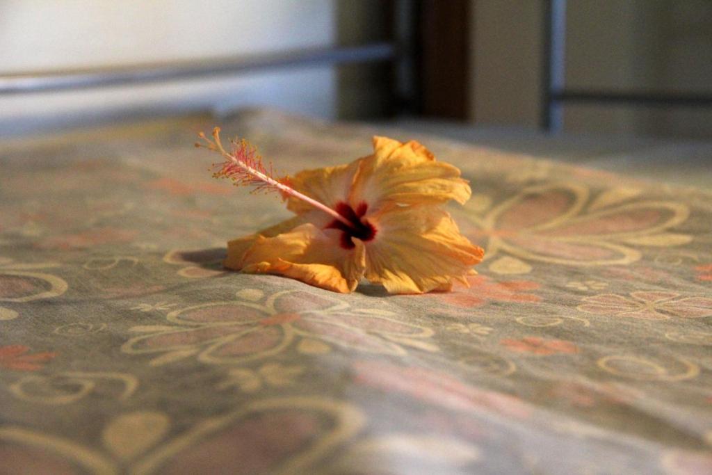 Bamboo Backpackers Hostel Nadi Room photo